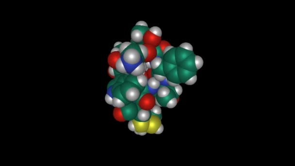 人間のホルモンソマトスタチン 黒の背景の動的3D空間充填モデル — ストック動画