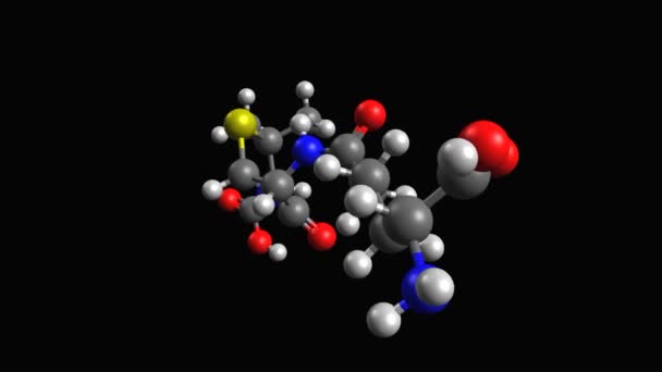 抗生物質アジシリンの動的3Dボール スティックモデル 黒の背景 — ストック動画