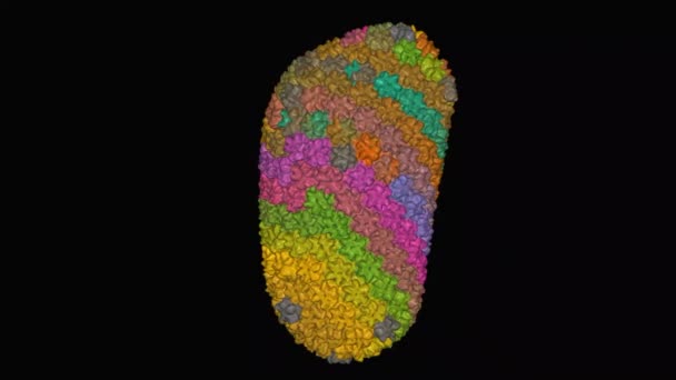 Estrutura Capsídeo Hiv Modelo Superfície Dinâmico Fundo Preto Esquema Coloração — Vídeo de Stock