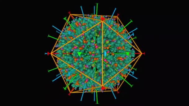 Atoomstructuur Van Menselijke Herpesvirus Capsid Met Icosaëder Symmetrie Getoond Dynamisch — Stockvideo