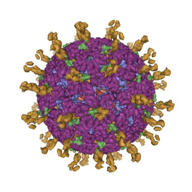Bulaşıcı bir rotavirüs parçacığının atom modeli, 3 boyutlu Gaussian yüzey modeli, beyaz arkaplan