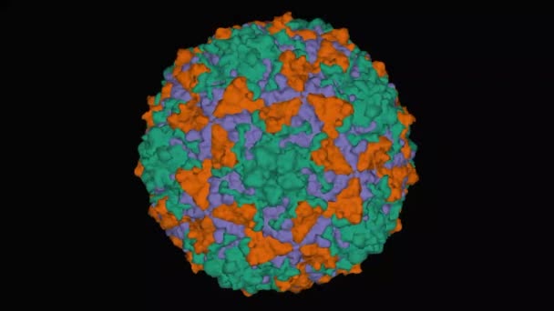 Křišťálová Struktura Coxsackievirus A24V Vysokým Rozlišením Animovaný Gaussovský Povrchový Model — Stock video
