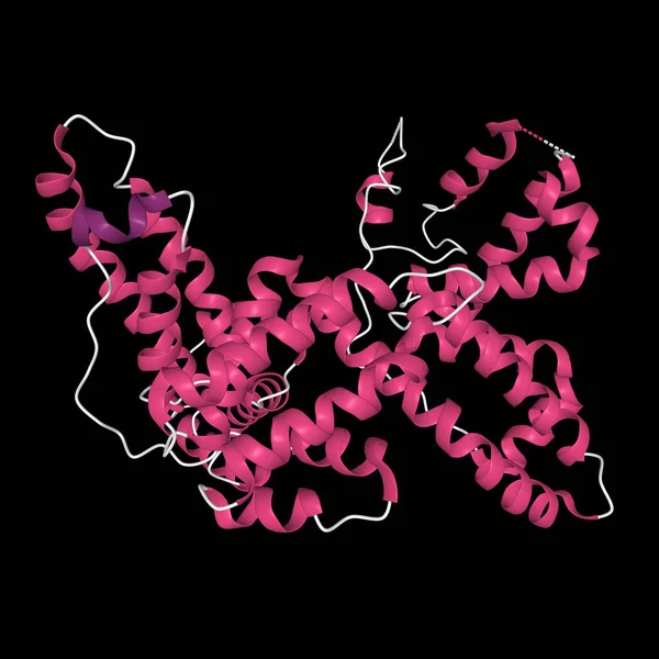 Struktura Trzeciorzędowa Ludzkiego Białka Wiążącego Witaminę Różnobarwnych Drugorzędnych Elementach Struktury — Zdjęcie stockowe