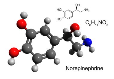 Chemical formula, structural formula and 3D ball-and-stick model of a hormone and neurotransmitter norepinephrine (noradrenaline), white background clipart