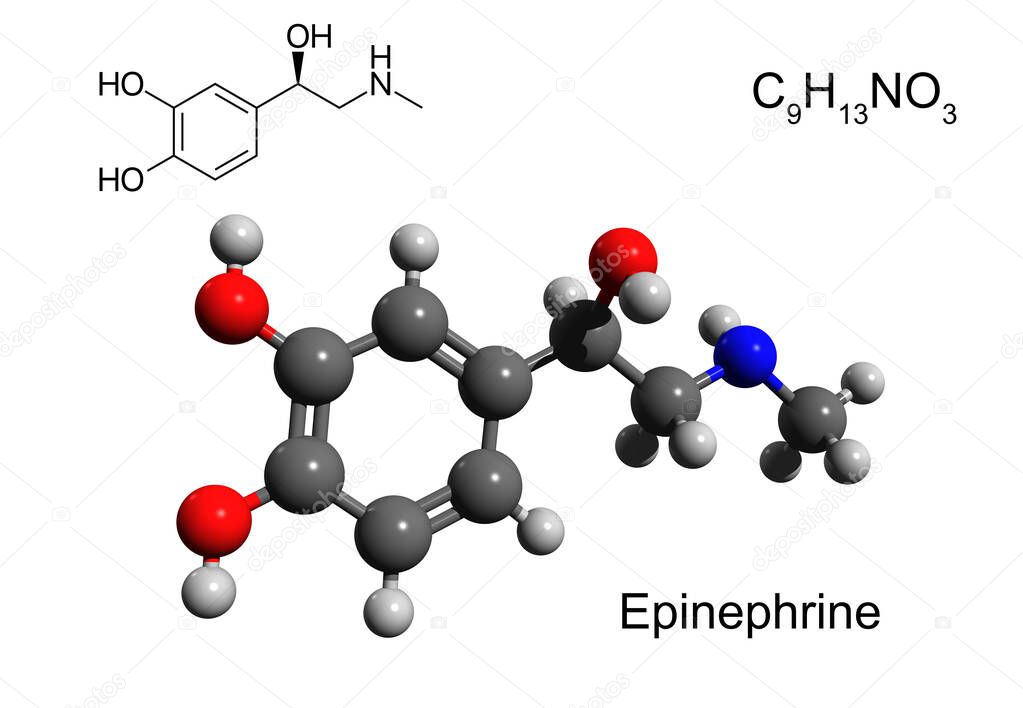 Chemical formula, structural formula and 3D ball-and-stick model of a hormone and neurotransmitter epinephrine (adrenaline), white background