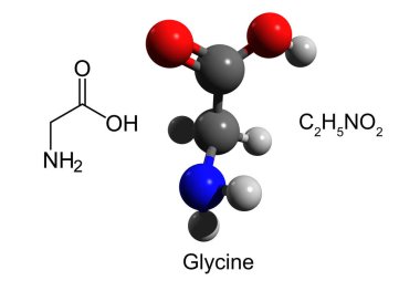 Kimyasal formül, yapısal formül ve glisininin 3 boyutlu top ve sopa modeli, en basit temel amino asit, beyaz arkaplan