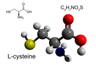 Kimyasal formül, yapısal formül ve L-cysteine 'in 3 boyutlu top ve sopa modeli, zaruri olmayan amino asit, beyaz arkaplan