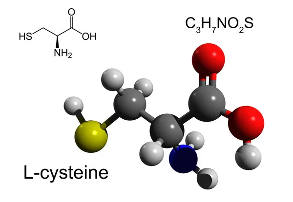 Хімічна Формула Структурна Формула Кульково Клейова Модель Цистеїну Несуттєва Амінокислота — стокове фото