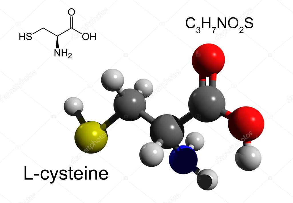 Chemical formula, structural formula and 3D ball-and-stick model of L-cysteine, a nonessential amino acid, white background