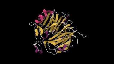 İnsan RCC2 'sinin kristal yapısı, kolorektal kanserin teşhisinde çok korunmuş bir protein. Canlandırılmış 3D çizgi film modeli, pdb 5gwn, ikincil yapı renk şeması, siyah arkaplan.