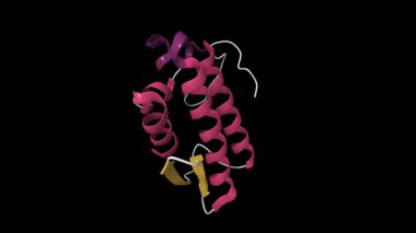 Fosfolipaz A2 'nin kristal yapısı. Canlandırılmış 3D çizgi film modeli, pdb 6kqu, ikincil yapı renk şeması, siyah arkaplan.