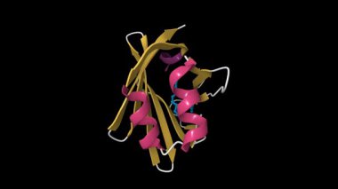 İnsan beyninin kristal yapısı yağ asidi proteini ligand ile bağlar. Canlandırılmış 3D çizgi film modeli, pdb 1fdq, ikincil yapı renk şeması, siyah arkaplan.