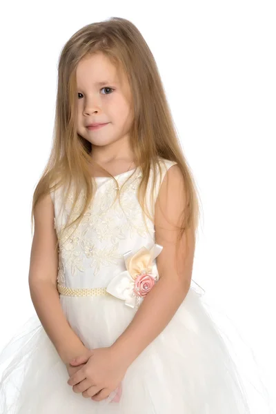 Fashionable little girl in a dress — Stock Photo, Image