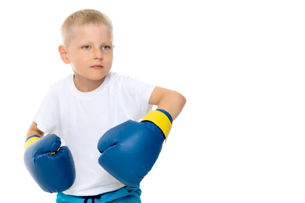 Un niño pequeño con una camiseta blanca limpia y guantes de boxeo . —  Fotos de Stock