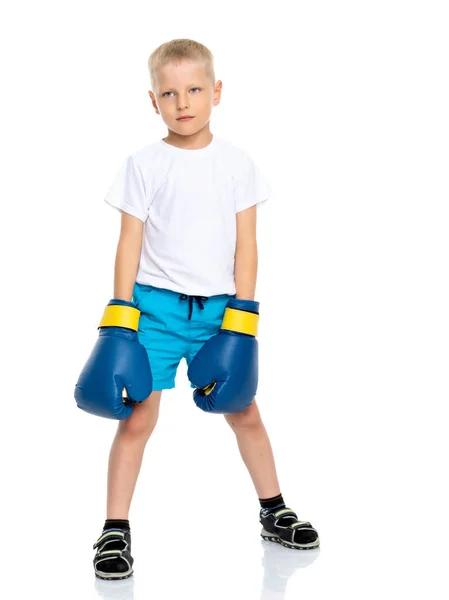 Un niño pequeño con una camiseta blanca limpia y guantes de boxeo . —  Fotos de Stock