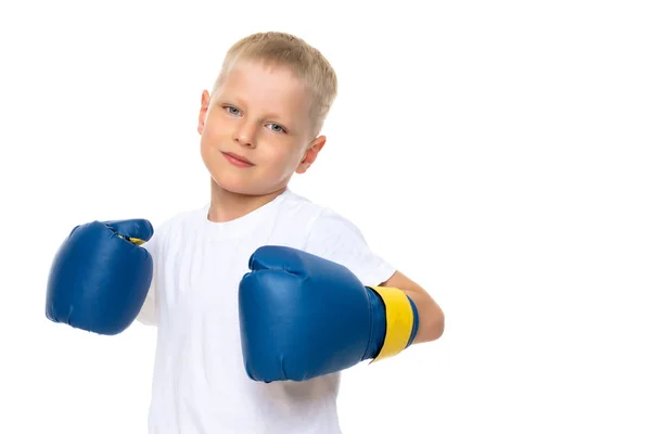 Маленький мальчик в чистой белой футболке и боксерских перчатках . — стоковое фото