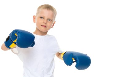 Küçük bir çocuk temiz beyaz bir T-shirt ve boks eldiveni.