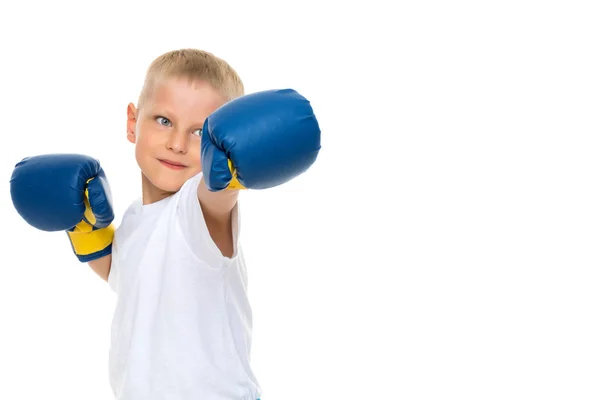 Un niño pequeño con una camiseta blanca limpia y guantes de boxeo . —  Fotos de Stock