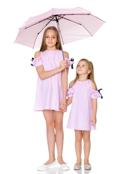 Dos chicas están paradas bajo paraguas. . — Foto de Stock