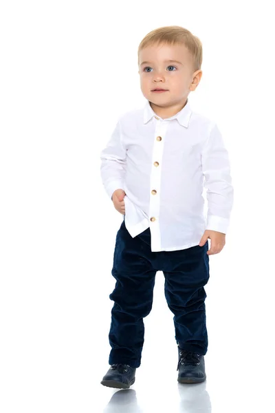 Handsome little boy in full growth — Stock Photo, Image