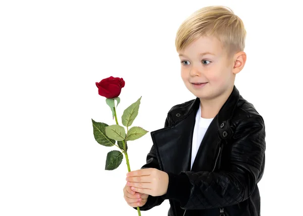 Un niño pequeño sostiene una flor en su mano . —  Fotos de Stock