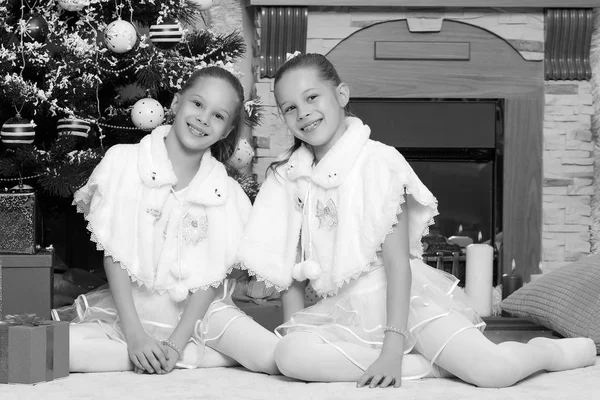 ギフト e クリスマス ツリーと双子の女の子. — ストック写真