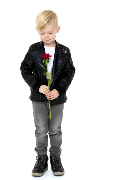 Un niño pequeño sostiene una flor en su mano . —  Fotos de Stock