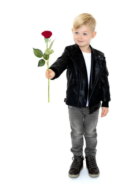 Un niño pequeño sostiene una flor en su mano . —  Fotos de Stock