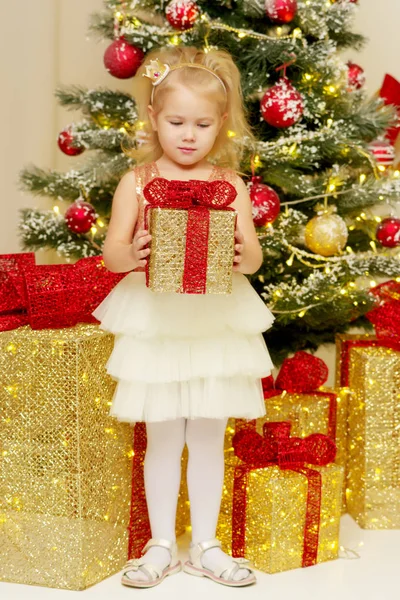 Liten pike nær juletreet med en gave. – stockfoto