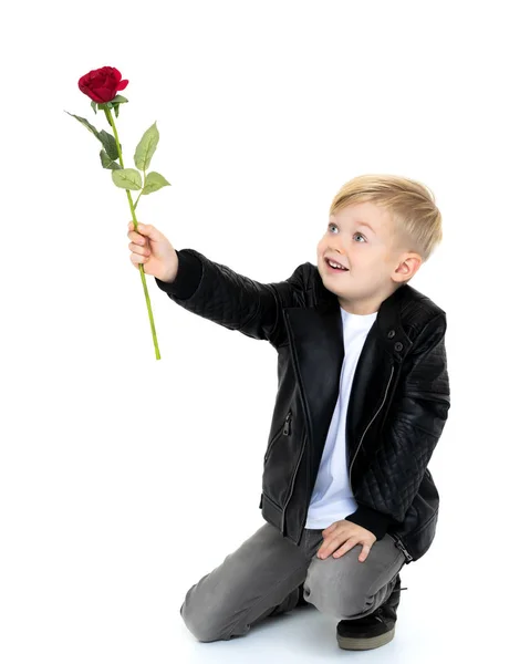 Um menino tem uma flor na mão . — Fotografia de Stock