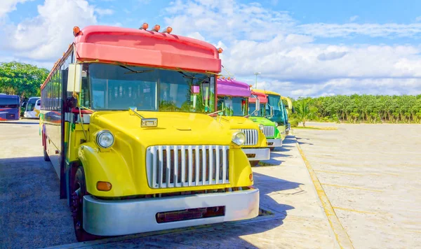 Beautiful, colorful buses standing in a row.