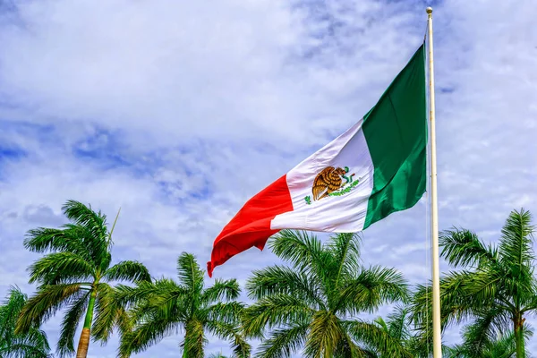 Frente al telón de fondo de palmeras y cielo azul Bandera de México . —  Fotos de Stock
