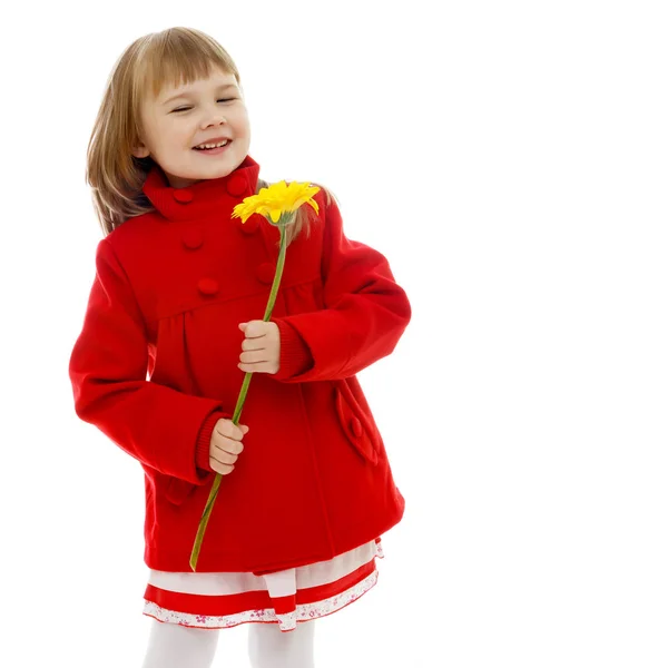 Schönes Mädchen mit einer Blume. — Stockfoto