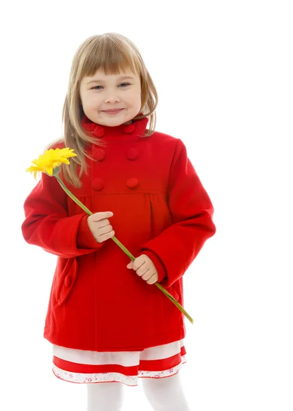 Mooi meisje met een bloem. — Stockfoto