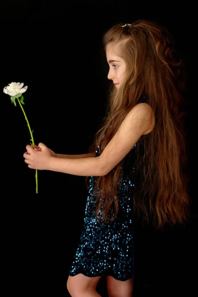 Liten flicka med en vit blomma på en svart bakgrund. — Stockfoto