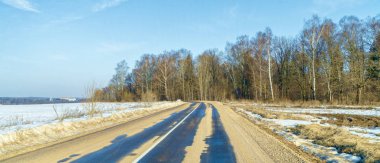 Ormana yakın erken ilkbaharda asfalt yol.