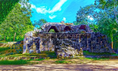 Ormanda eski bir binanın kalıntıları.