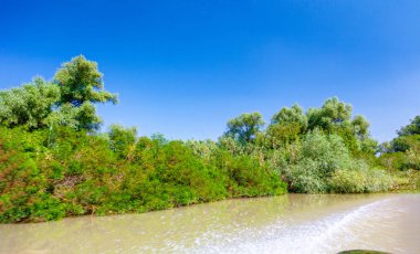 Motorlu bottan güzel doğaya ve nehre manzara.