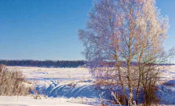 Hermoso paisaje de invierno en la región de Moscú . — Foto de Stock