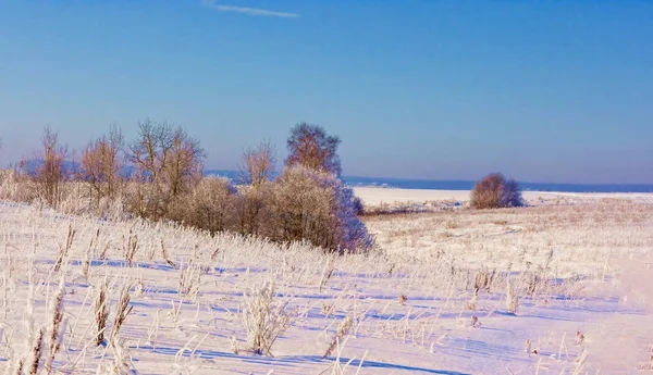 Bela paisagem de inverno na região de Moscou . — Fotografia de Stock