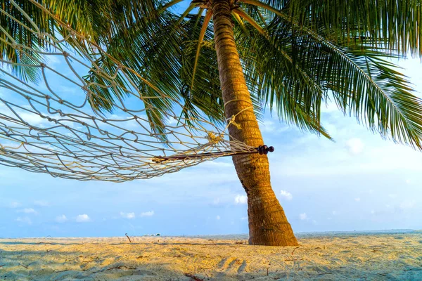 Empty hammock between palms trees at sandy beach — Stock Photo, Image