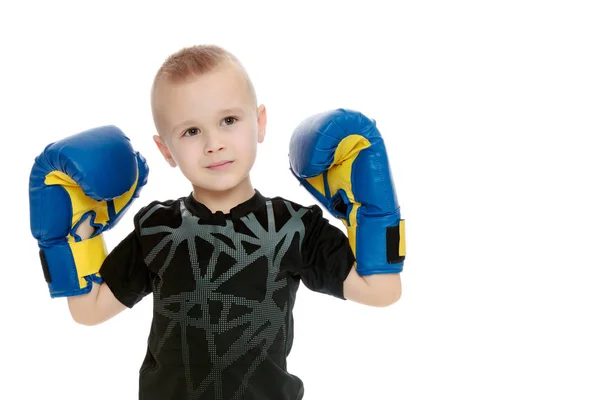 Petit garçon en gants de boxe . — Photo