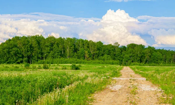 Céu azul e nuvem com árvore de prado. Paisagem plana fundo — Fotografia de Stock