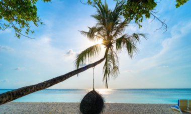 Kumsaldaki palmiye ağaçları arasında boş hamak.