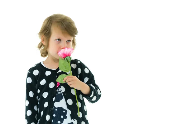 Menina bonita com uma flor. — Fotografia de Stock