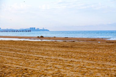 Güzel Doğa Yaz Sahil Arkaplanı, seçici odaklanma.