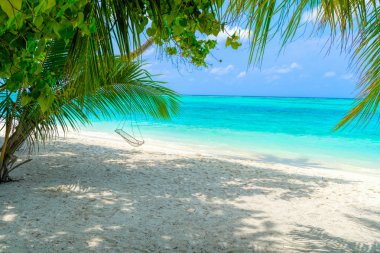 Kumsaldaki palmiye ağaçları arasında boş hamak.