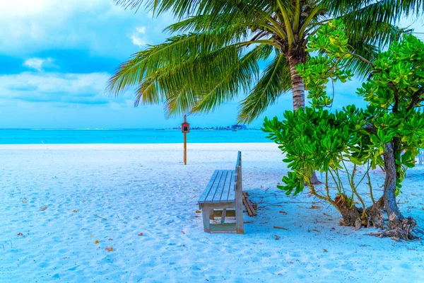 Cadeira solitária em pé em uma costa de praia exótica — Fotografia de Stock