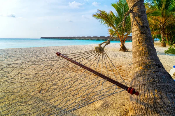 Hamac vide entre les palmiers à la plage de sable — Photo