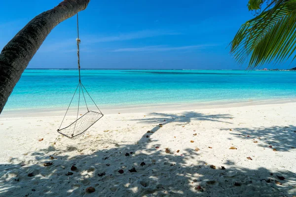 몰디브의 아름다운 열대 해변에 놓여 있는 늘씬 한 의자들 — 스톡 사진